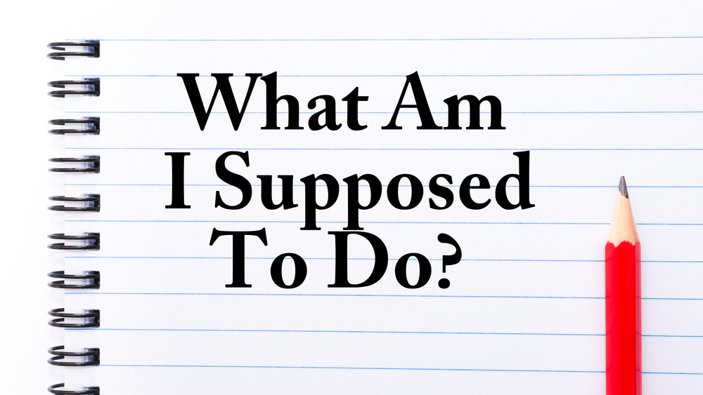 What Should I Do?